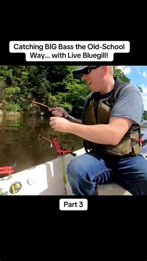 Catching BIG Bass with Live Bluegill: Part 3