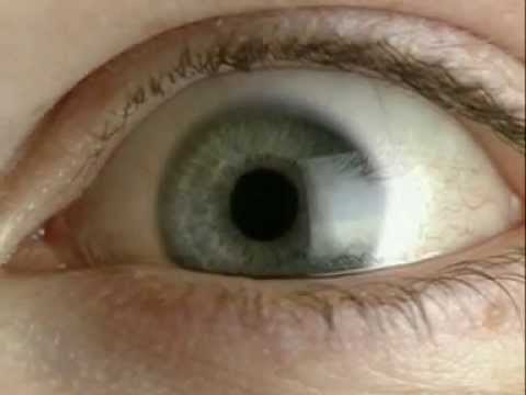 Eye - Iris and pupil