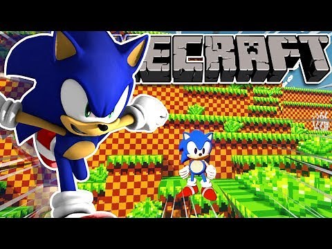 SONIC MEETS MINECRAFT!!