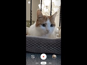 Duo: Android: How to make calls and group calls