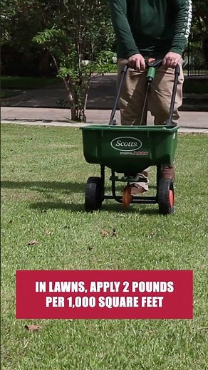 The Quick Guide to Snails! [Turf & Garden Pests]