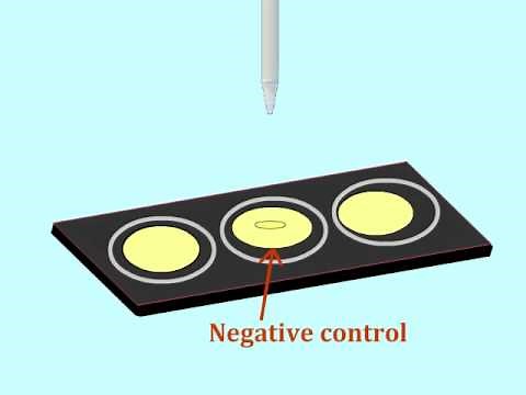 Agglutination assay to detect antigens - Multi-Lingual Captions