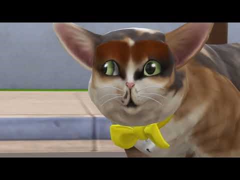 GrayStillPlays The Sims 4 But it's Only the Pets. (Spleens and Tonsils compilation)