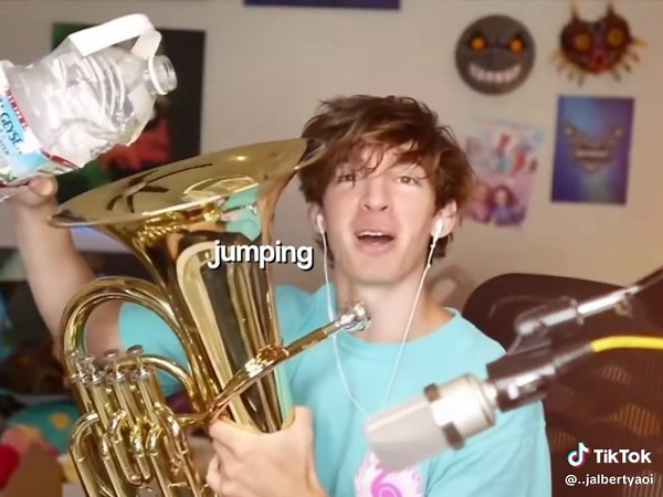 Albert Flamingo: Misunderstandings and Favorites