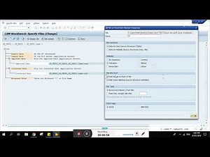 SAP + LSMW + BDC + part 1