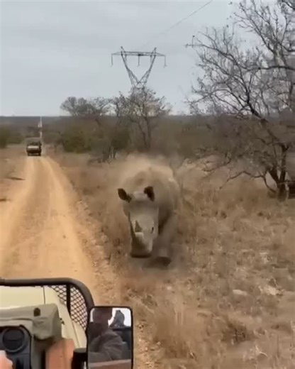 Is a career step back really a step back? | Thomas Tsangaras posted on the topic | LinkedIn