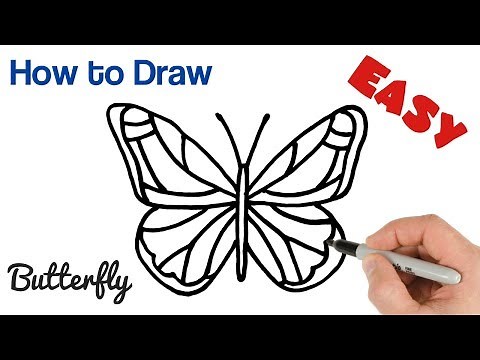 How to Draw a Butterfly easy step by step