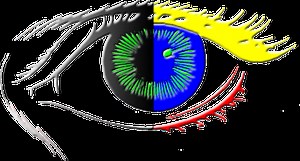 Error al lanzar el filemaker webdirect