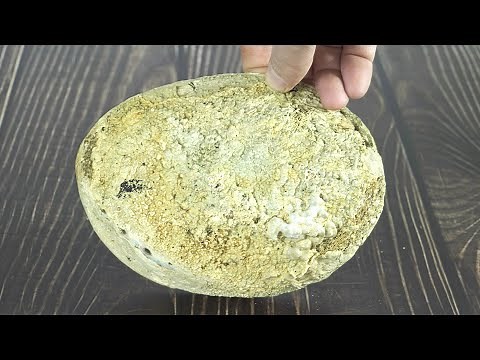 Polishing a big abalone shell by hand - Relaxing Video