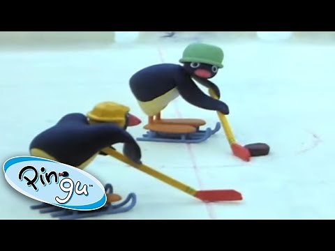 Pingu Plays Ice Hockey! | Pingu Official | Cartoons for Kids