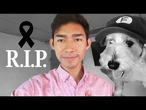 ADIOS AMIGO CURLY - Fernanfloo