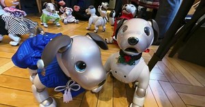 Japan companion robots help the lonely smile and patients in recovery during COVID’s isolating times