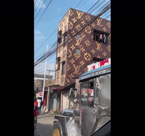 This house is decorated entirely with the Louis Vuitton monogram