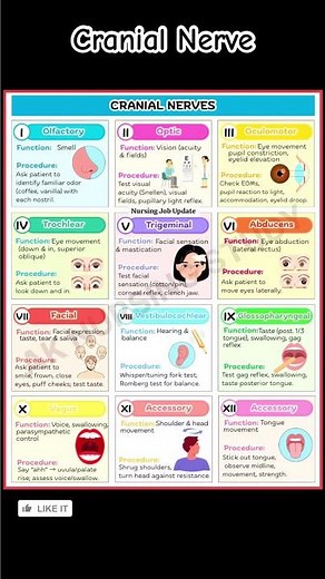 Cranial nerve examination | cranial nerve function |Cranial nerve assessment #cranialnerveexam