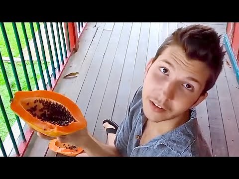 Nikocado Vegan Days VS NOW