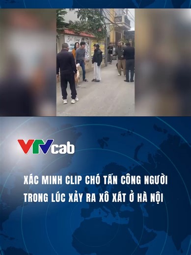 Giữa lúc hai người đàn ông xảy ra xô xát, nam thanh niên đẩy một con chó vào đám ẩu đả. Tuy nhiên, con vật lại quay sang cắn một phụ nữ đứng gần đó #VTVcab #vtvcabxahoi #tiktoknews