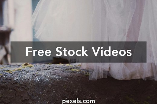 Raw Wedding Videos, Download The BEST Free 4k Stock Video Footage & Raw Wedding HD Video Clips