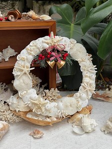 Handmade Seashell Christmas Wreath: Coastal Holiday Decor, Nautical Seashell, Beachy Gift - Etsy