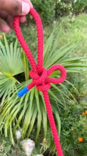 Camping knots #shorts #knot