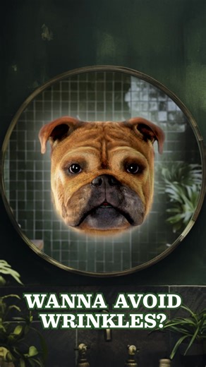 Clinically proven to reduce the appearance of fine lines and wrinkles. | Bulldog Skincare