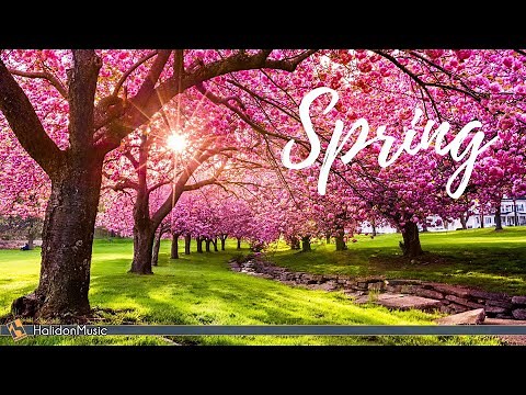 Classical Music for Spring