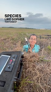 5.8K views · 146 reactions | Just popping in to tell you all about...