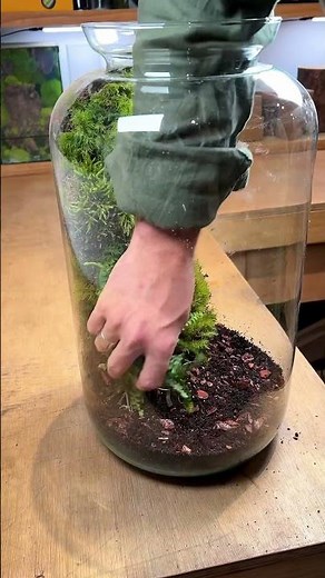 How to make terrarium putty (goo recipe!)