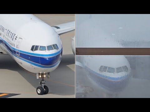Thunderstorm Grounds ALL Flights at Tokyo Haneda! Flight Delay + Planespotting & Ramen Vlog