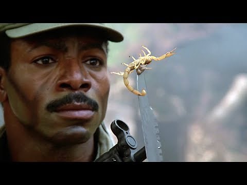 Anytime | Predator