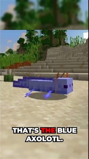 Minecraft rarest Axolotl