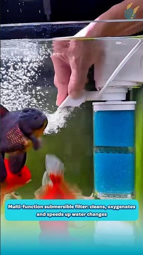 Multi-function submersible filter: cleans, oxygenates, and speeds up water changes