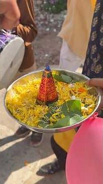 अनार चकरी की शादी 💐 #shorts #youtubeshorts #shortsfeed #comedy #funny