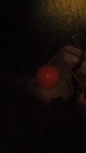 1.6K views · 15 reactions | Bowfishing for gators@firehouse_bowfishing won our captain’s giveaway and came down to claim his prize. We spent the night successfully hunting down a swamp lizard with a bow and arrow. #floridapremierbowfishing #seminoleprairie #bowfishing #gatorhunt #floridahuntingranch | Florida Premier Bowfishing | Facebook