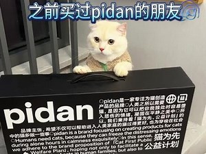 你家猫咪还在吃传统的猫粮吗？现在流行这款pidan猫粮，好吃又营养！#猫粮#铲屎官