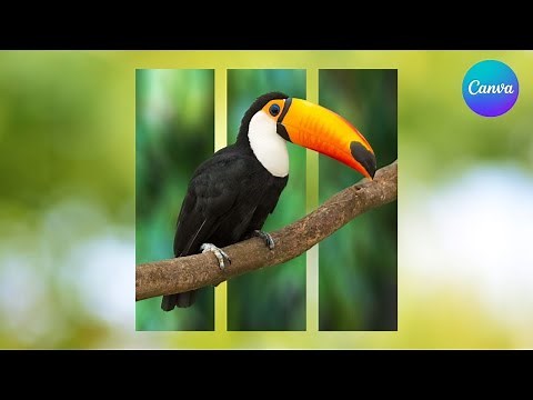 Easy Canva Poster Tutorial for Beginners | Step-by-Step Design Guide