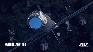 Ukraine will receive the first Switchblade kamikaze drones in a few weeks