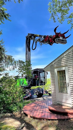 Greentec Tree Service: Kravitz Tree Care Highlights