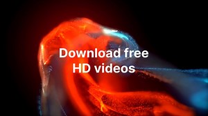 Download high definition stock videos for your next project, free. | Vecteezy