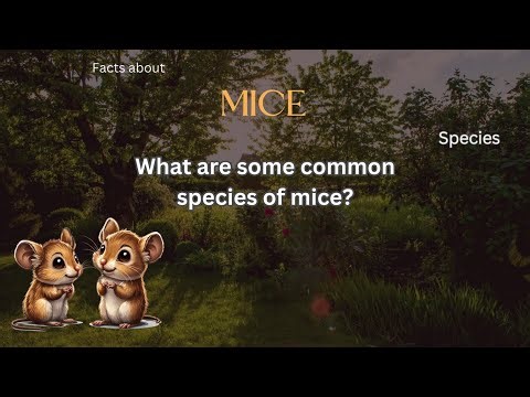 Mouse Fact 15 - What are some common species of mice?