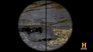 32K views · 1.1K reactions | We're going back in time! Revisit the 10 most legendary monsters from Swamp People past. | Swamp People on History | Facebook