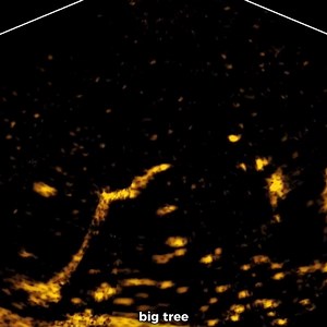 13K views · 144 reactions | How to use ActiveTarget for Big Crappie! | Let's Fish TV | Facebook