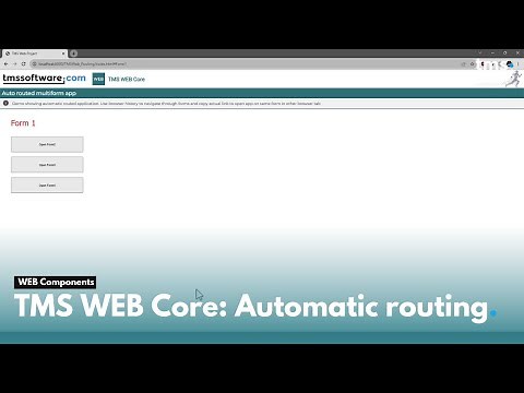 Automatic routing in TMS WEB Core