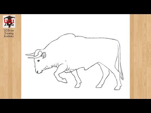 How to Draw a Bull Easy Drawing: Step by Step Outline Strong Bull Sketch Tutorial for Beginners' Art