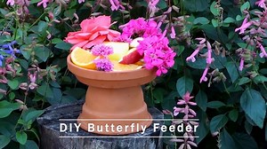 5.1K views · 108 reactions | Create a butterfly feeding station to attract beautiful butterflies to your garden. Learn about other garden projects and more in the January issue of The Gardener. Find a magazine near you: https://www.thegardener.co.za/stockists-the-gardener/ #makeyourown #easydiy #butterflyfeeder #pollinator #butterflystation #butterflyfood | The Gardener Magazine | Facebook