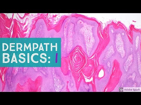 Basic Dermpath Cases - Explained by a Dermatopathologist