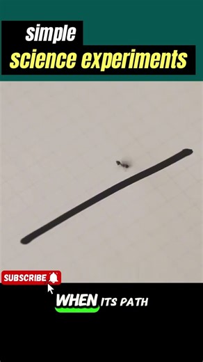 DIY Stethoscope - How Your Heart Actually Sounds #challenge #experiements