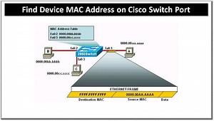 Commands to Find Device Mac Address on Cisco Switch Port - IP With Ease