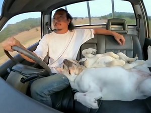 948K views · 3.8K reactions | learn to vibe alone because, no one will stay forever | Stranger | Facebook