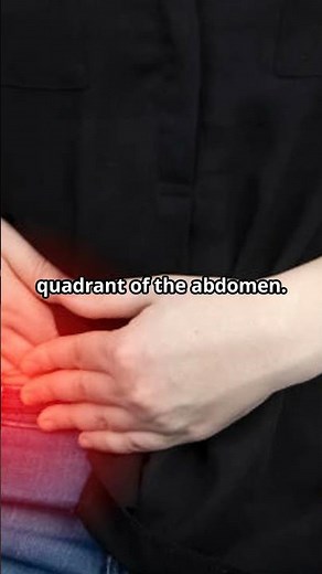 All About the Appendix: Functions, Symptoms, and Treatments Explained!