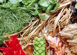 Garden waste collections